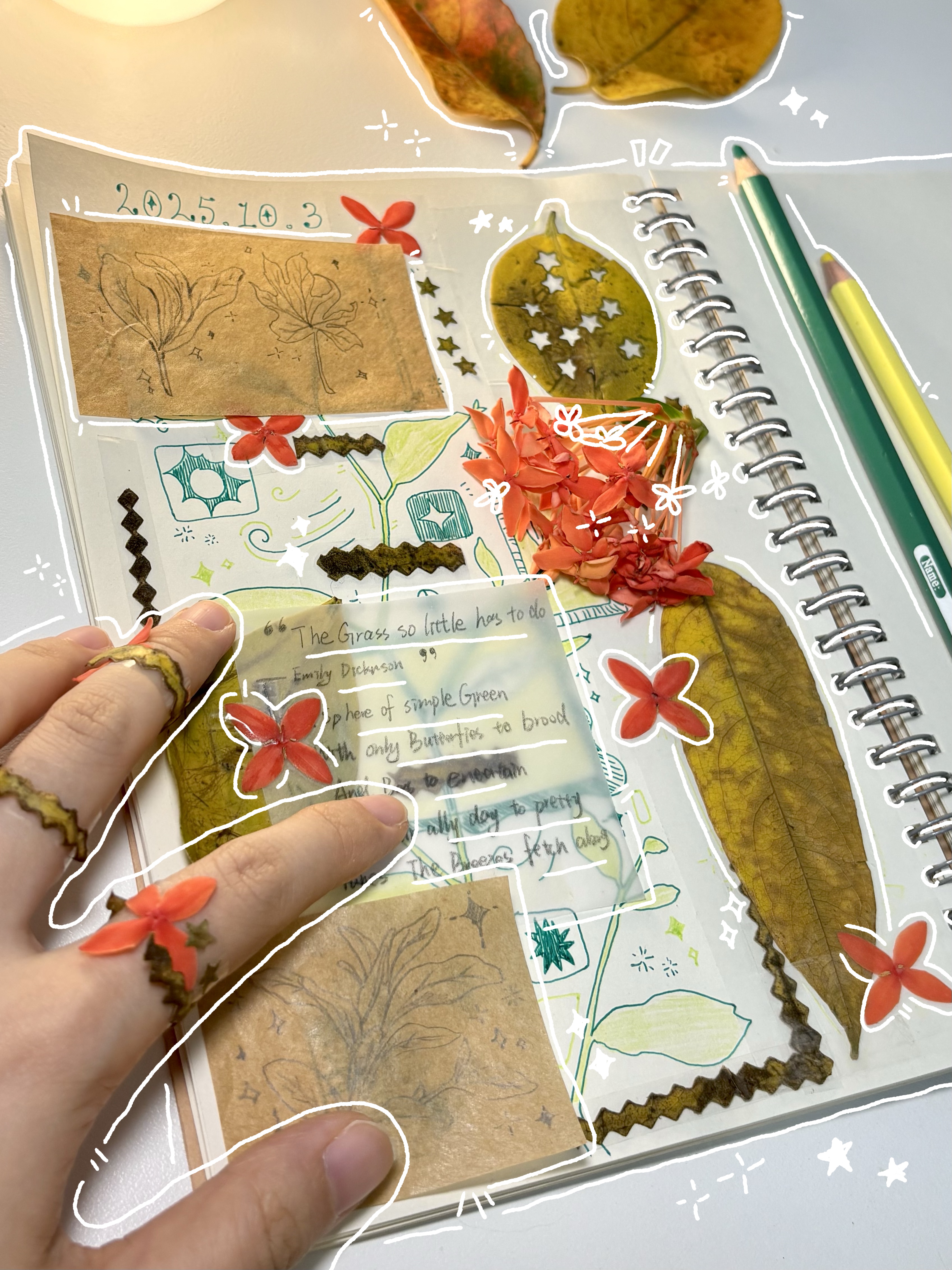 Journal work 8