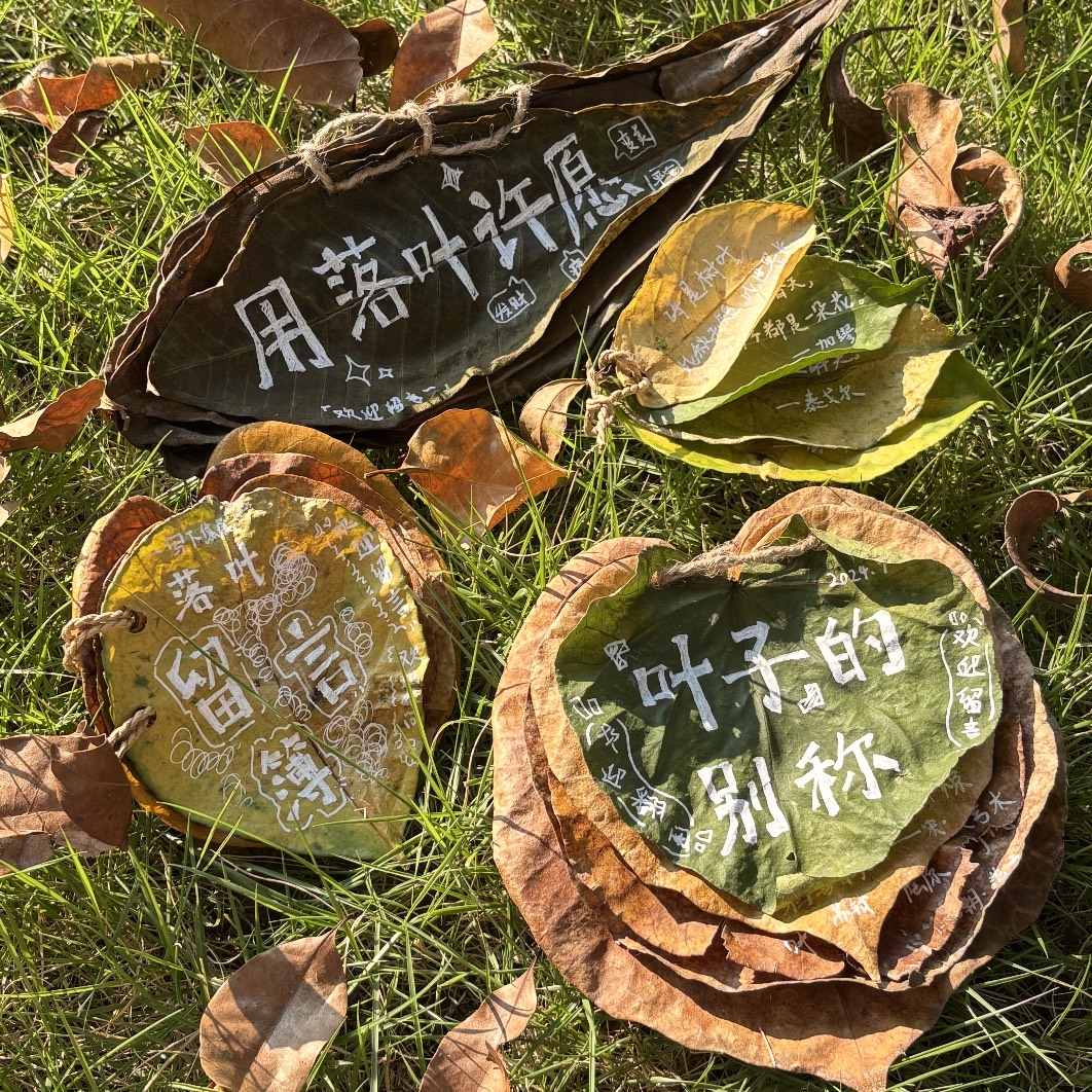 叶子 Journal work 2