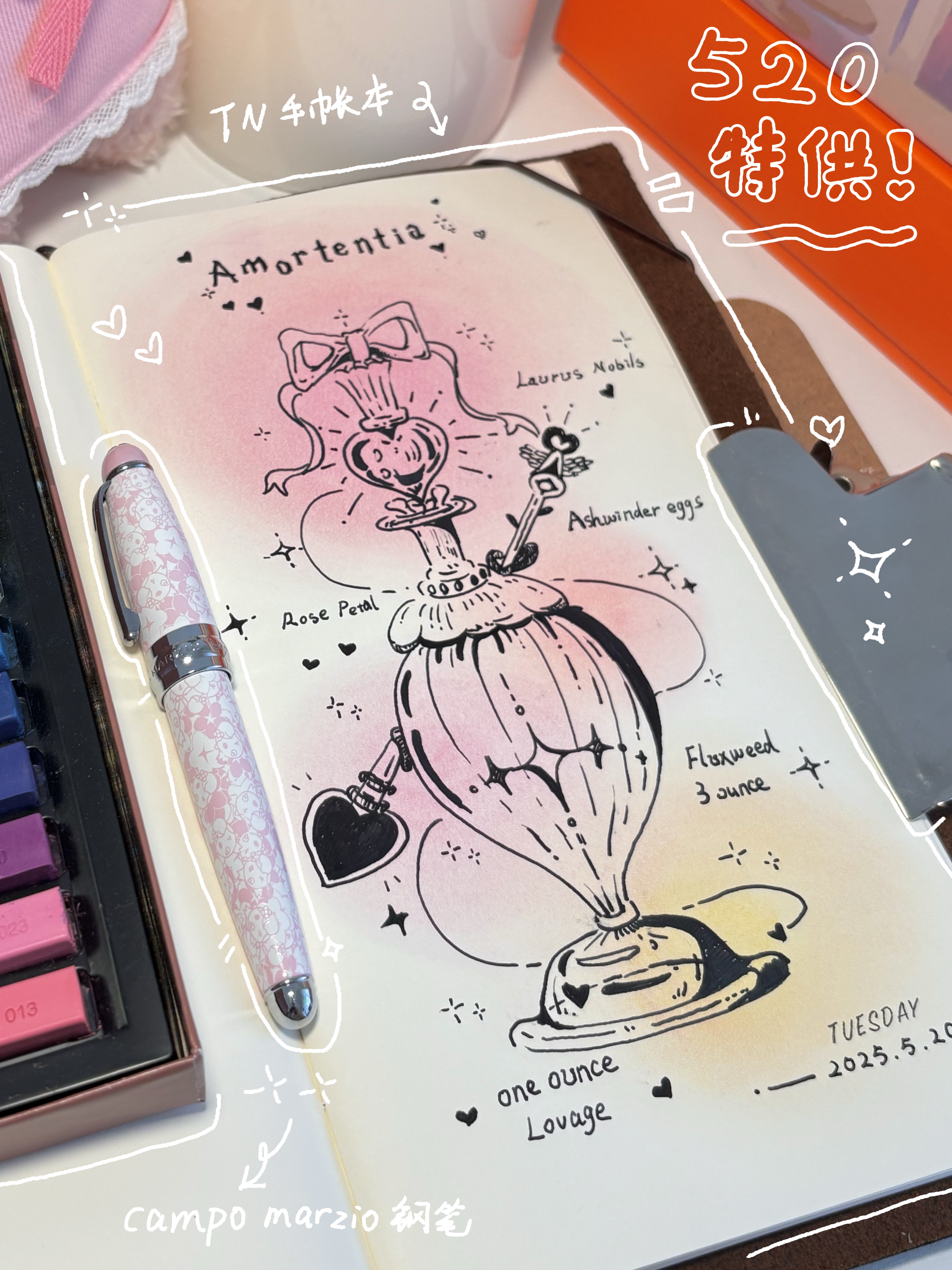 Journal work 11